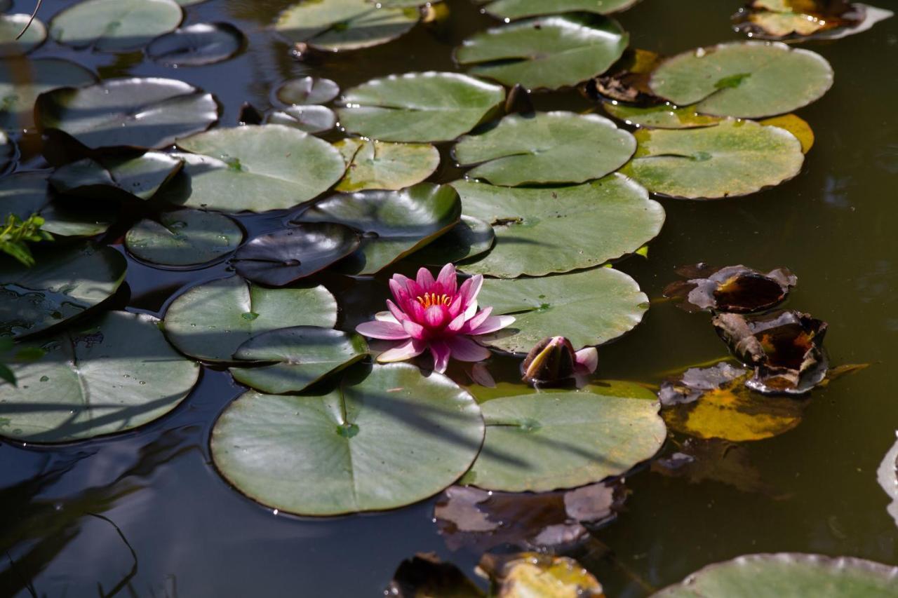 La Varangue Лаканау Екстериор снимка